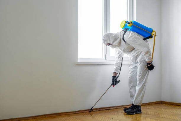 Best Termite Control Services  in Bend, OR