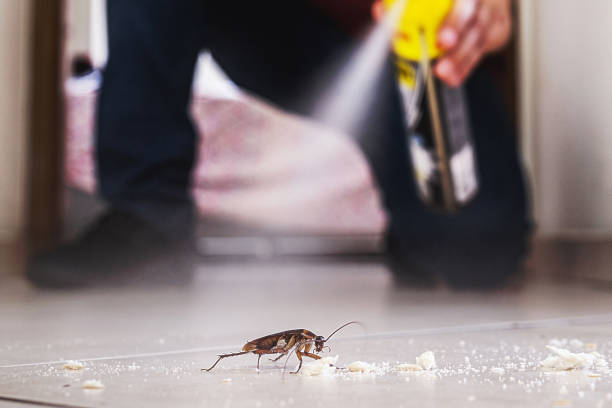 Best Pest Prevention Services  in Bend, OR